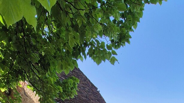 A rustic stone building with a steeply pitched roof, a wooden door, and a small porch area. - l'Ardoise, Maison au pied du château de Castelnau (Prudhomat)