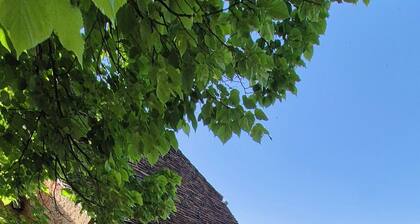 l'Ardoise, Maison au pied du château de Castelnau