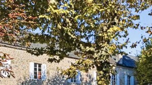 A stone building with a traditional facade, large windows, and a well-maintained lawn with greenery in the foreground. - Maison de la source, swimming pool, 10 min padirac (Alvignac)