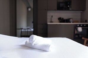 Interior - Fabulous studio with AC in vibrant Toulouse neighborhood (Toulouse)