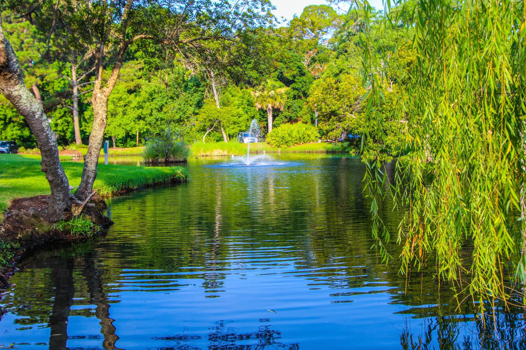 A serene pond with a fountain, surrounded by lush greenery and trees.