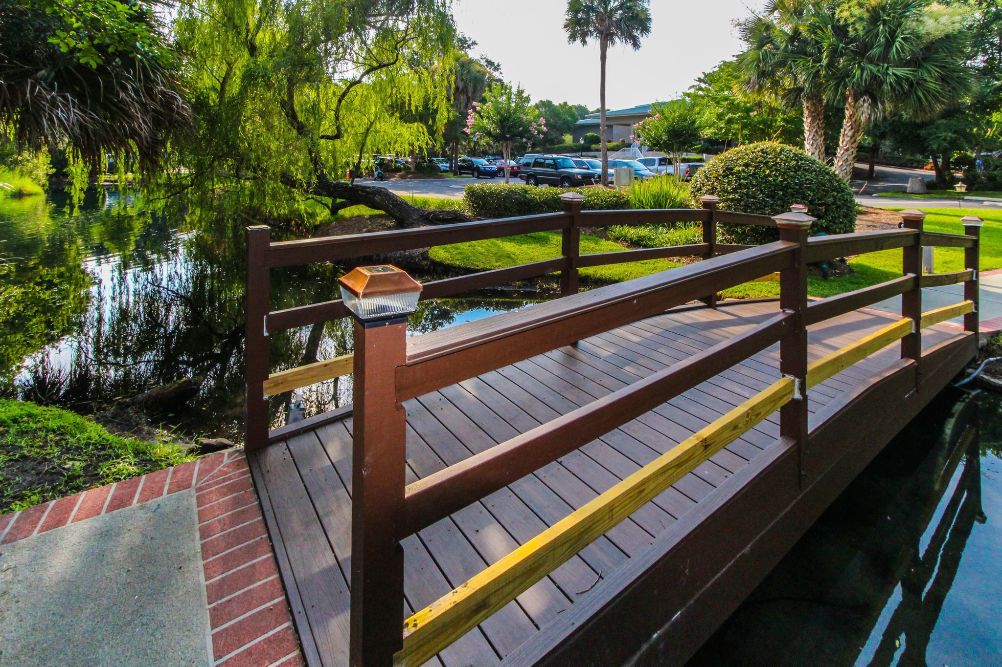 Een houten brug over een rustig waterlichaam, omringd door weelderige begroeiing en een parkeerplaats op de achtergrond.
