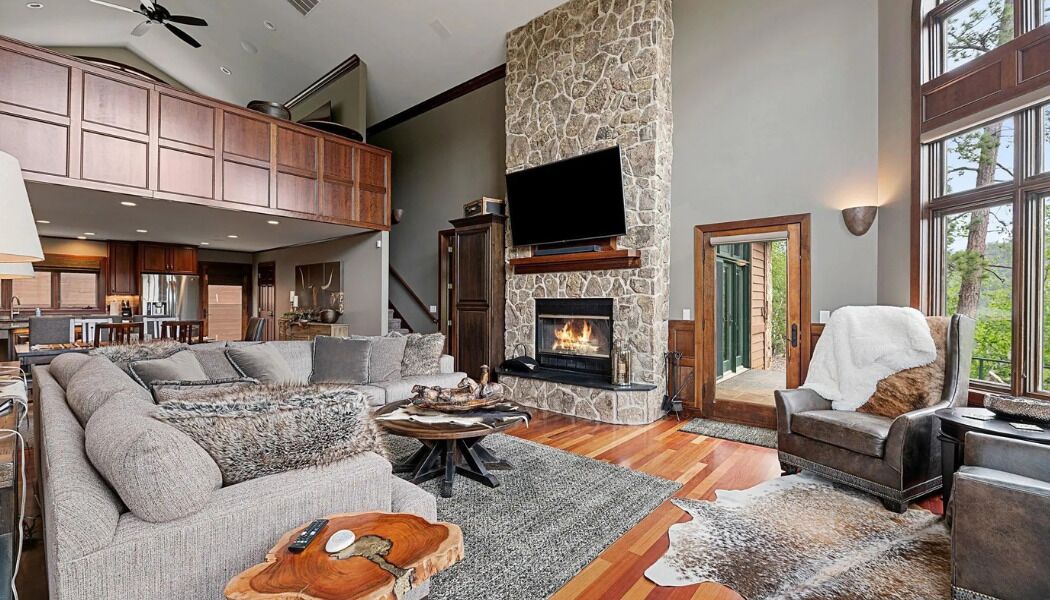 TV connectée, cheminée, livres