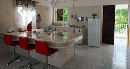 High villa - Swimming pool - 2 min plage de Vinty - Sainte-Rose