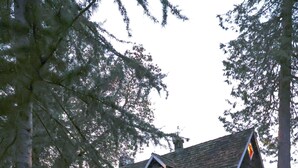 A rustic cabin with a stone pathway leading to the entrance, surrounded by dense greenery and tall trees. - Storybook family cottage perched atop Penn Cove (coupeville)