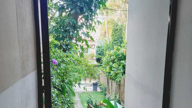 Un étroit sentier mène à un jardin, où l’on trouve un chemin en béton, le tout étant bordé de verdure et entouré d’une clôture en bambou.