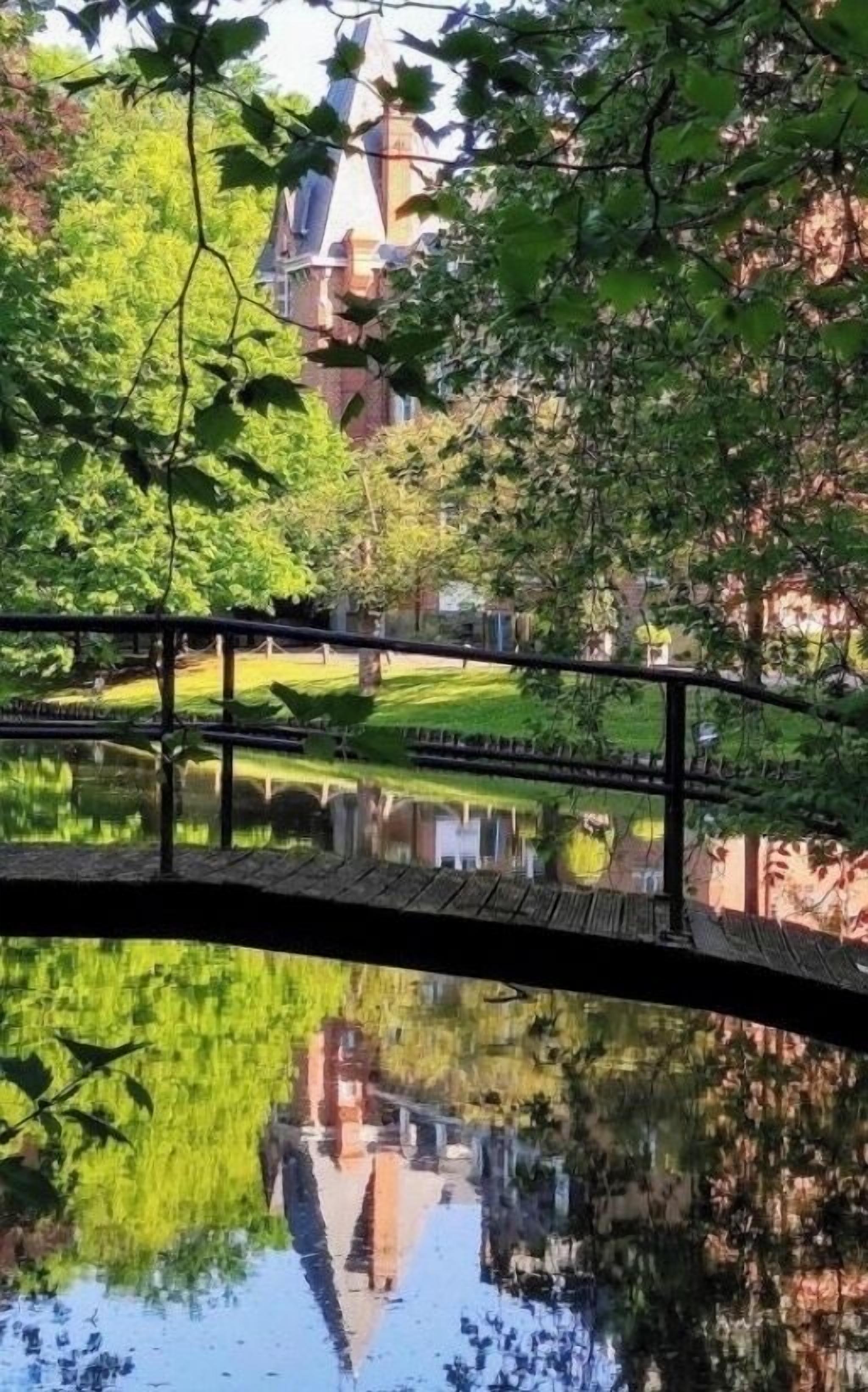 Terrein van de accommodatie