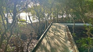 A covered walkway with a metal roof, surrounded by trees and vegetation. - Carrington Cottage | Walk to Cafés, Bars & Harbour (Carrington)