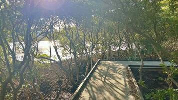 Parco della struttura