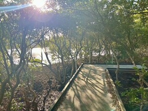 Terrain de l’hébergement 