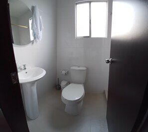 Toallas y papel de baño 