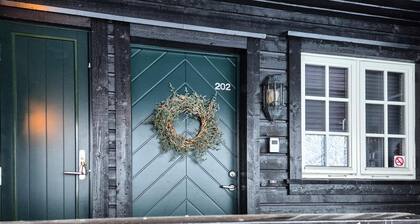 2 bedroom cozy apartment in Røldal