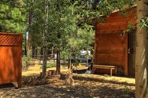 Property grounds - Pet-Friendly Cottage Near Lake & Ski w/ Fireplace (South Lake Tahoe)