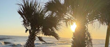 Camastros y toallas de playa