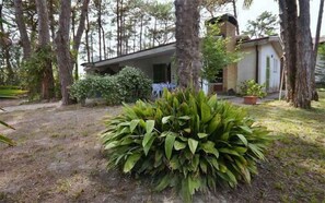 Property grounds - Villa with air conditioning and garden (Lignano)