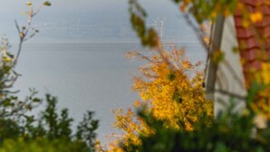 Blick auf ein Gewässer mit verschwommenem Hintergrund aus Vegetation und einem Gebäude mit rotem Dach.