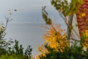 Une vue sur une étendue d'eau, avec un arrière-plan flou de feuillage et un bâtiment doté d'un toit rouge.