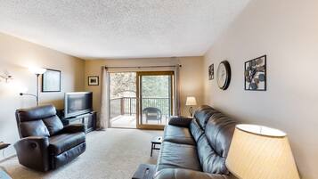 TV, DVD player, books, stereo