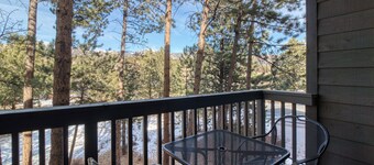 Relaxing condo in Estes Park w/ a full kitchen, gas fireplace, & furnished deck