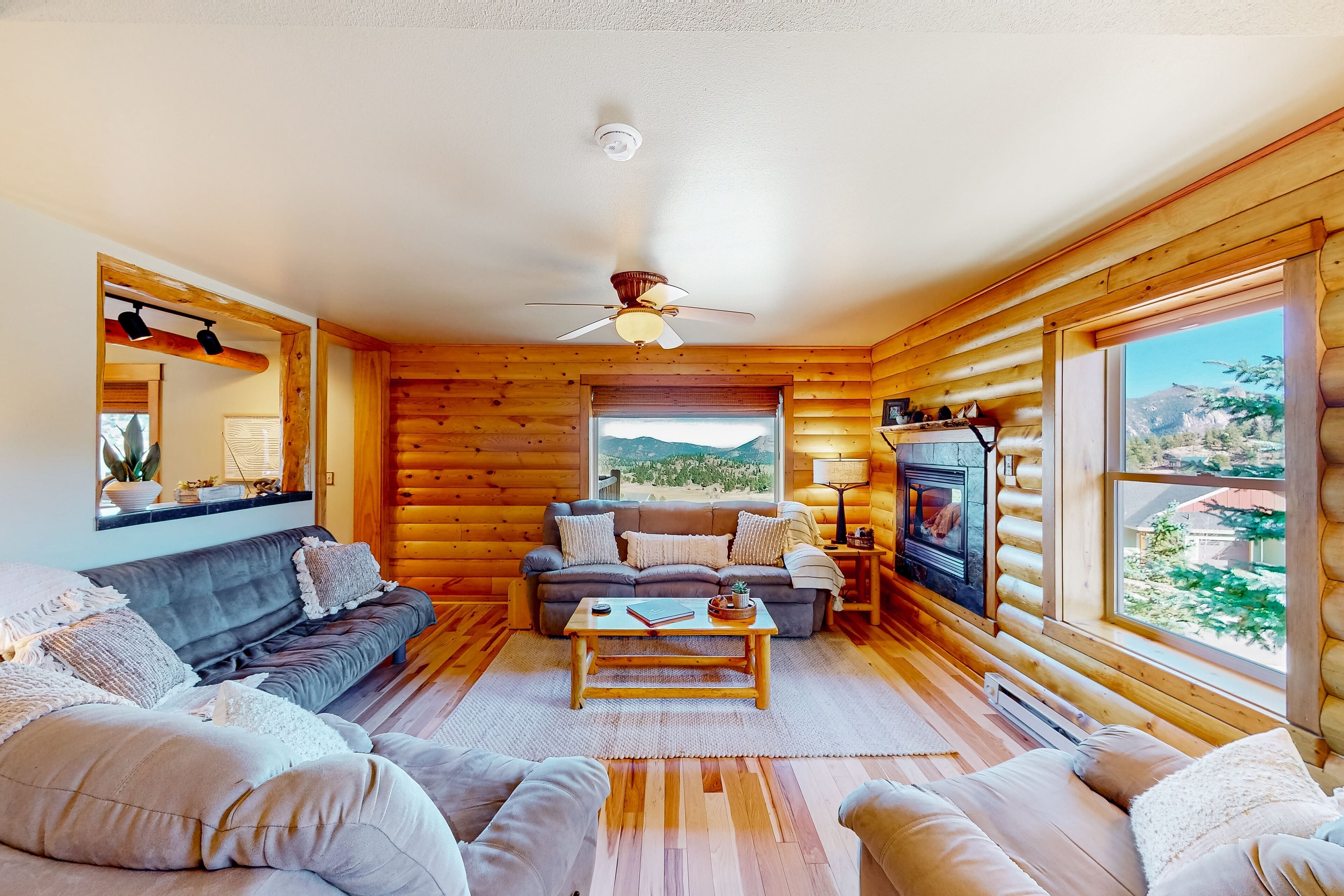 TV, fireplace, DVD player, books