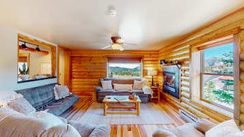 TV, fireplace, DVD player, books