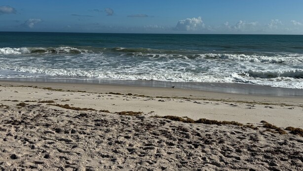 A beach with waves, sand, and sparse vegetation. - FUN Waterfront Retreat with Private boat Lift/Dock-Dine & Unwind- 3Bed/2 Ba Home (Fort Pierce)