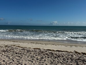 A beach with waves, sand, and sparse vegetation.