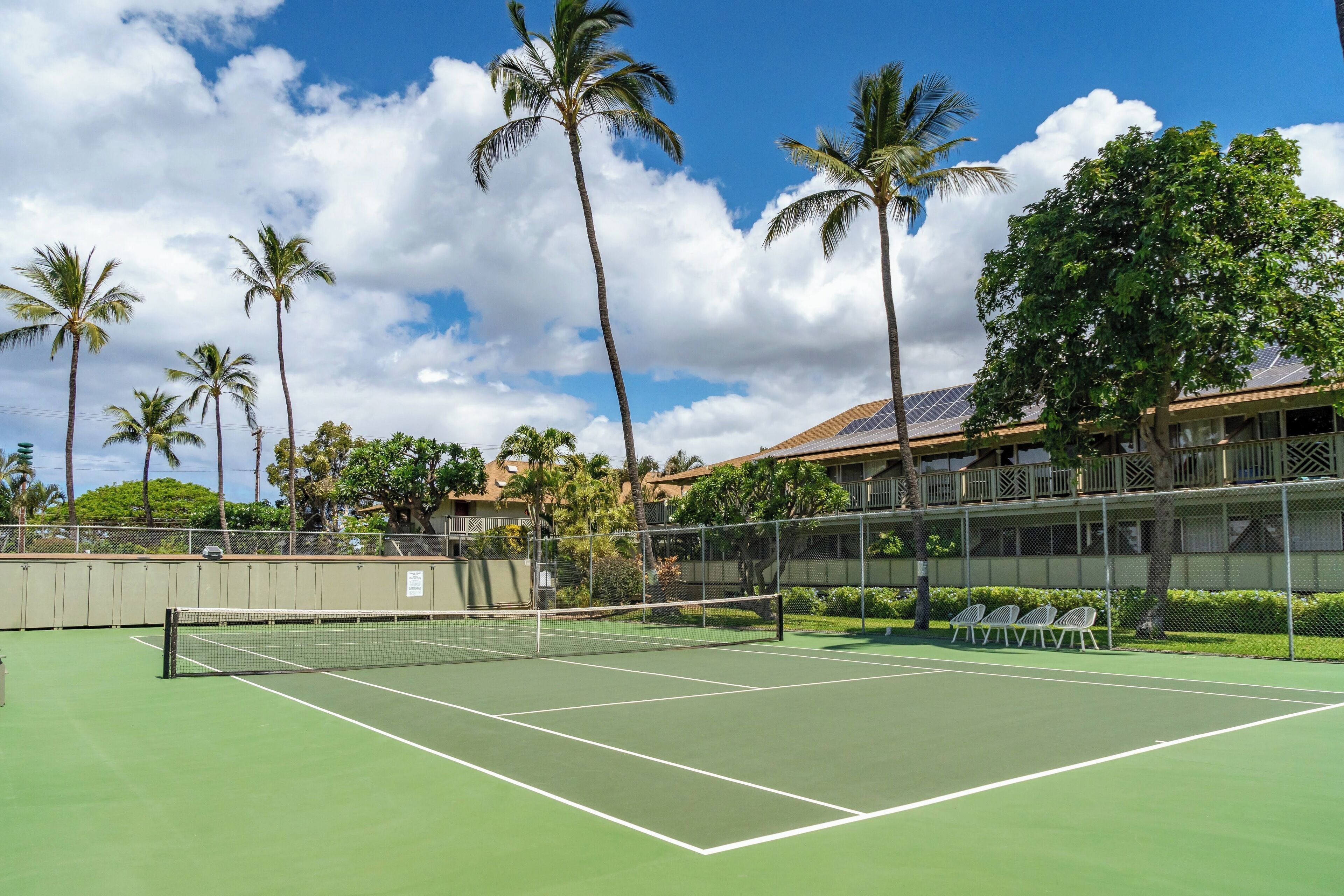 Ein Tennisplatz mit Netz, umgeben von Palmen und einem Gebäude mit Solardach.