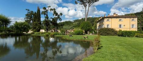 المنطقة المحيطة بالمنشأة