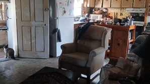 Una sala de estar con un sofá, una silla y un gato. Se ve una cocina al fondo, con armarios y electrodomésticos.