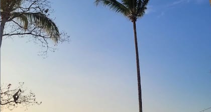 Remote Work Paradise | Nature + Fast WiFi | Villa Tayasal | Near Tikal, Airport