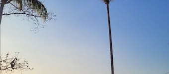 Remote Work Paradise | Nature + Fast WiFi | Villa Tayasal | Near Tikal, Airport
