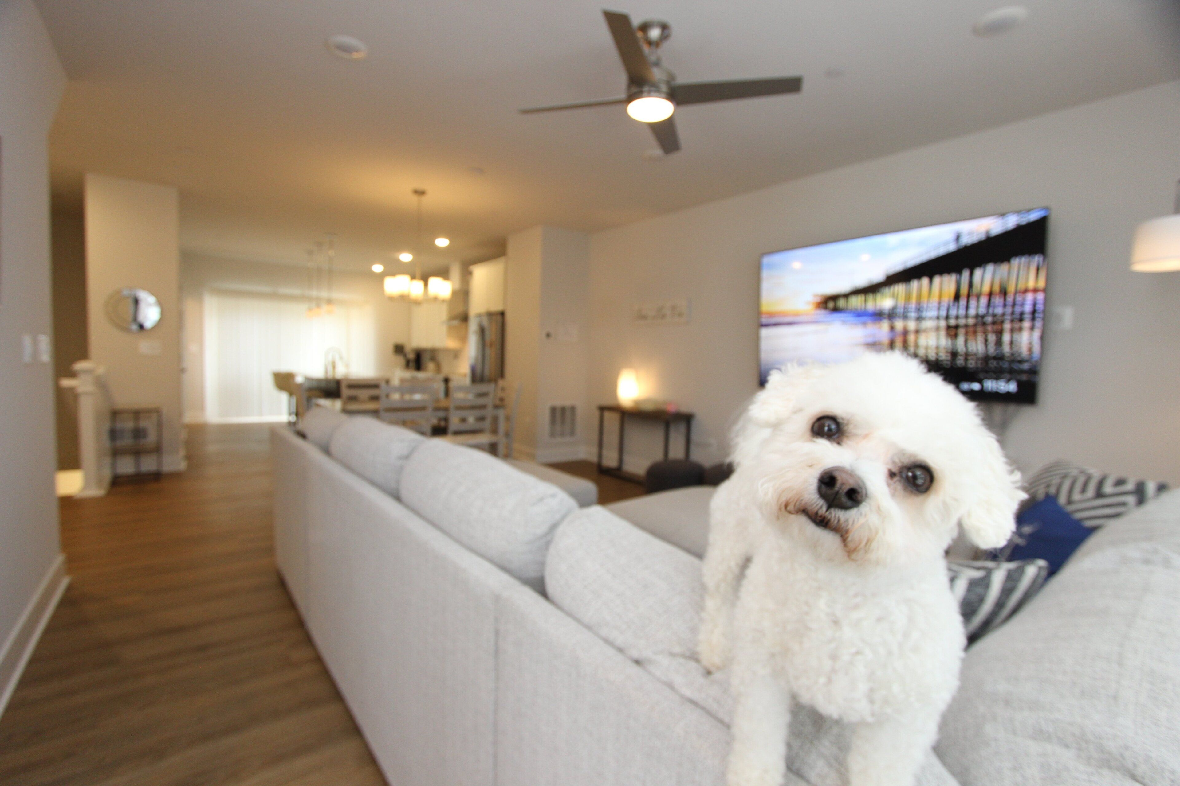 Smart TV