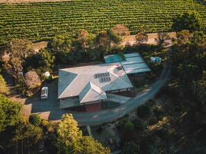 Une vue aérienne d’un vignoble avec des rangées de vignes, un bâtiment doté d’un toit en pente et une route sinueuse.