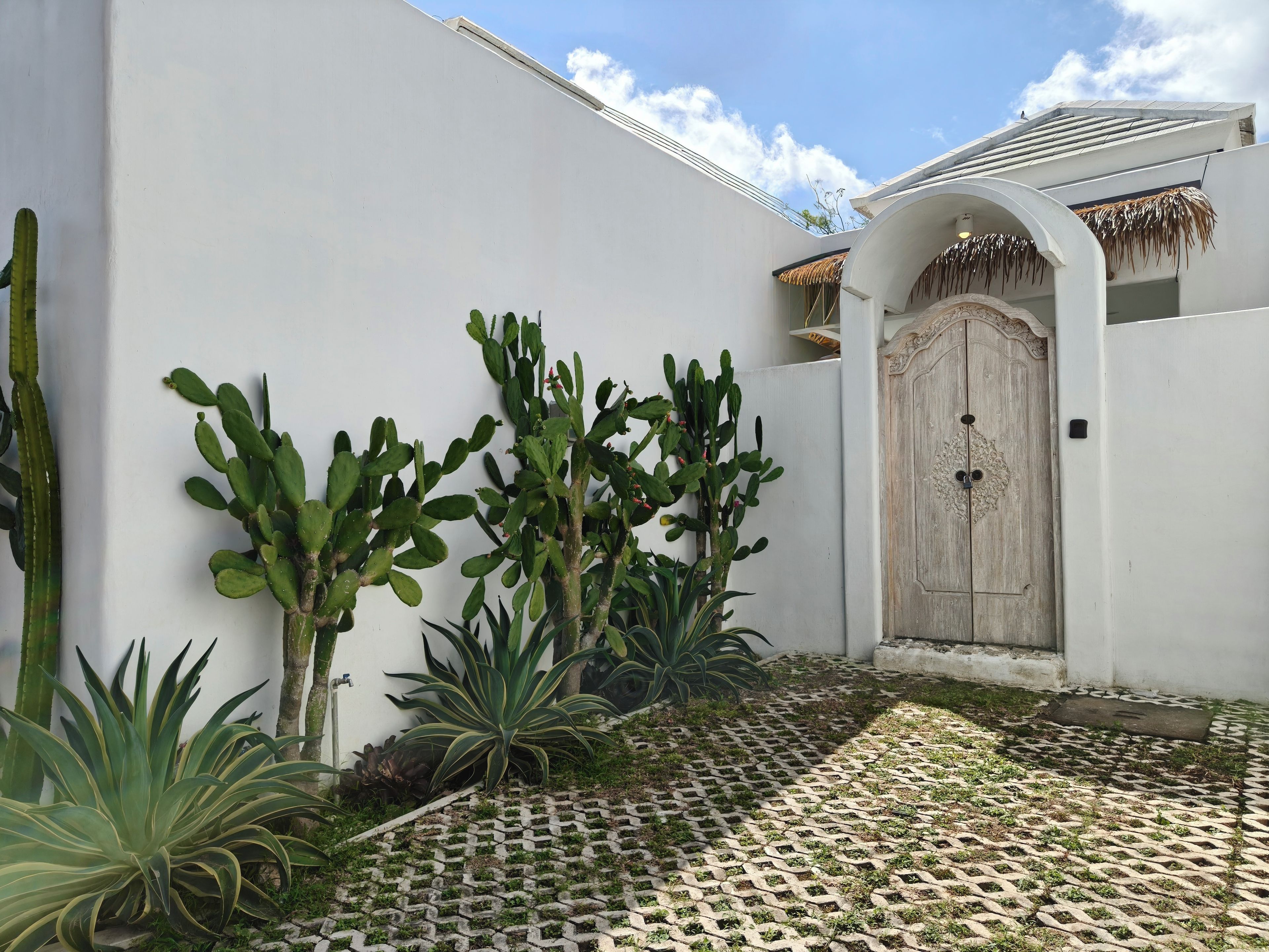 Un patio con piso estampado, una puerta de madera y diversas plantas, entre ellas cactus y agave.