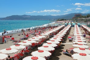 Ceriale - Merlo A -  Center & Private Parking, Ceriale, Italy (Ceriale)