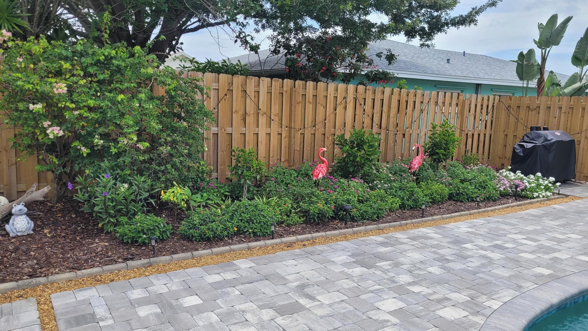 A backyard with a wooden fence, a pool, and various plants.