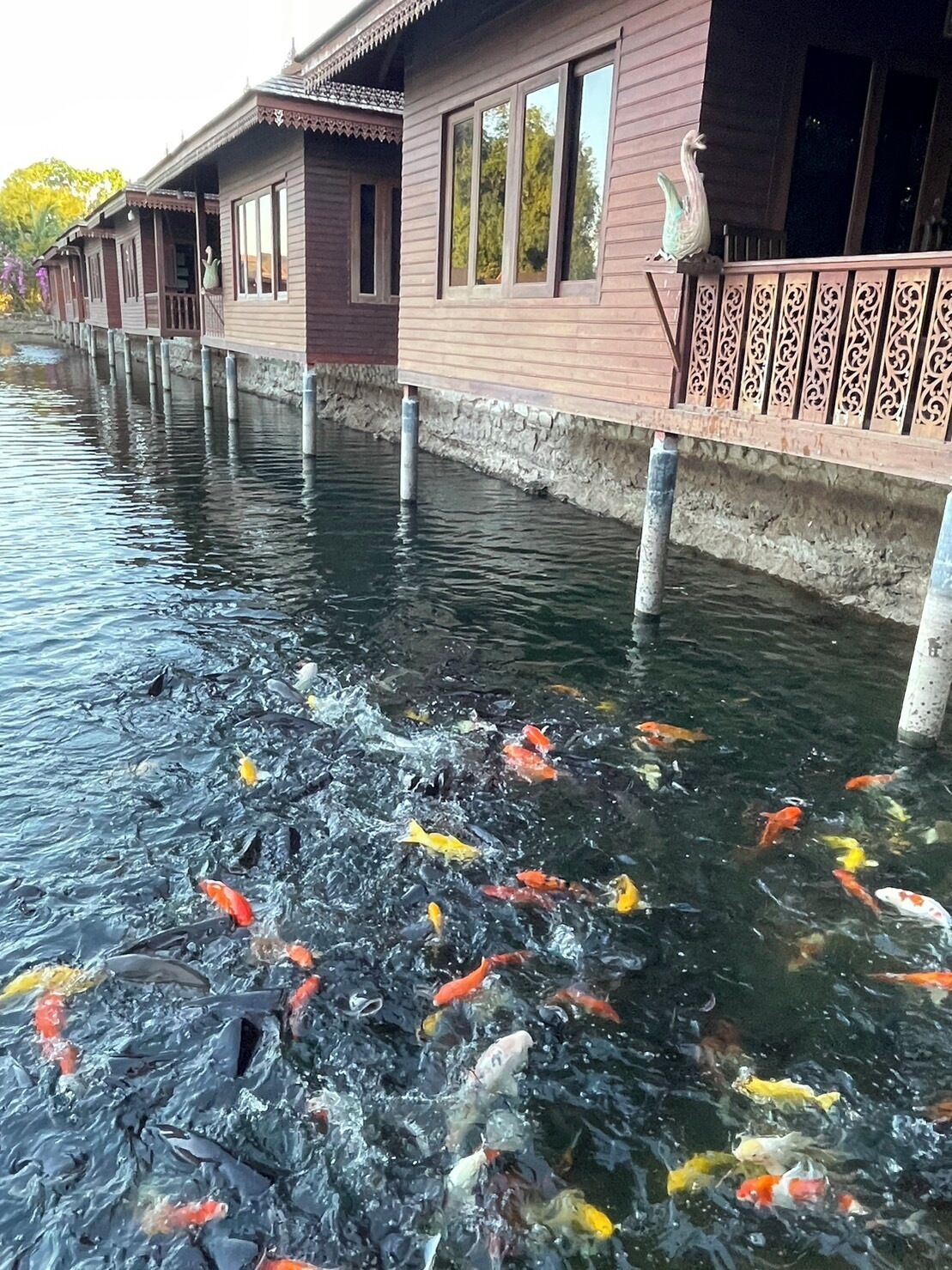 บริเวณที่พัก