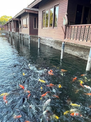 Property grounds - Baankiangnam Pattaya (Bang Lamung)