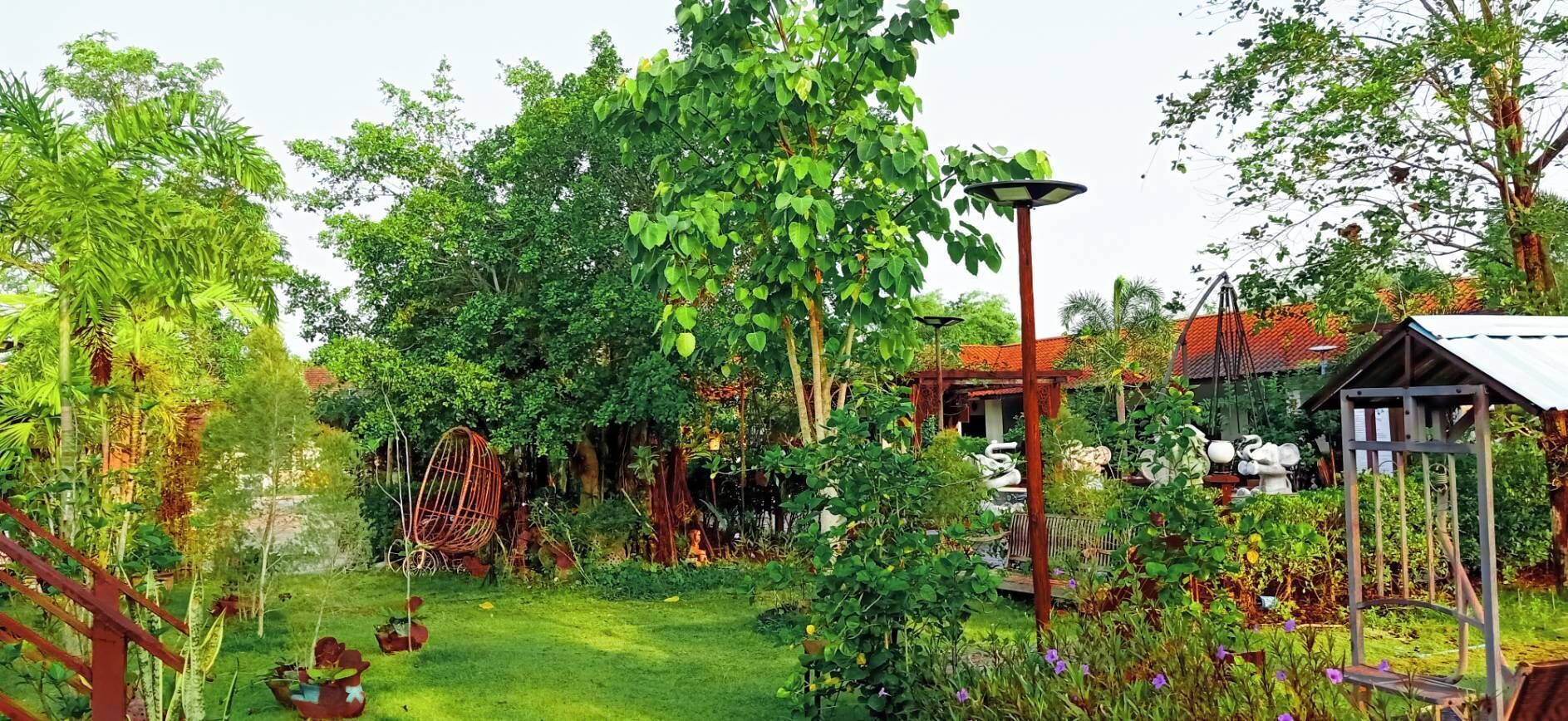 Un exuberante jardín con un pabellón, una silla colgante y una gran variedad de plantas y flores.