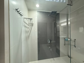 Regadera, secadora de cabello, bidet, toallas