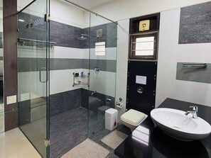 Shower, hair dryer, bidet, towels
