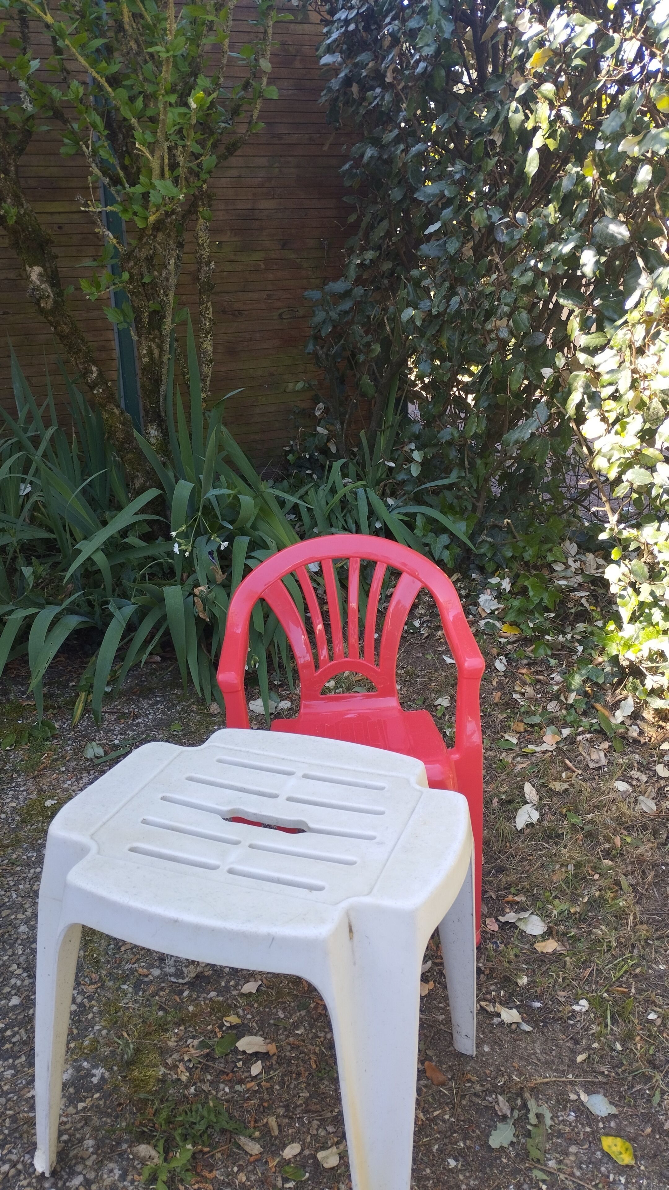 Un tavolo di plastica bianca e una sedia di plastica rossa in un'area giardino con recinzione in legno e vegetazione.