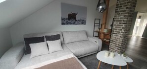 Smart-TV, Bücher, Videothek