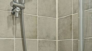 Shower, hair dryer, towels, toilet paper