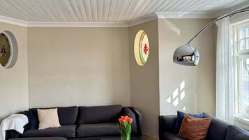 TV, fireplace, stereo, offices