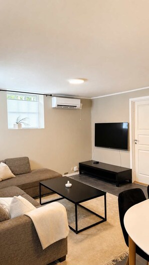 Fernseher, Arbeitsbereiche