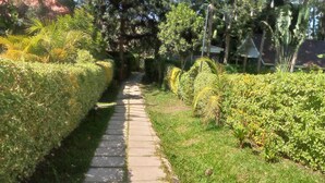 A paved pathway flanked by neatly trimmed hedges and grass, leading towards a building with a sloped roof. - Aldi Jambo Hotel (Homa Bay)