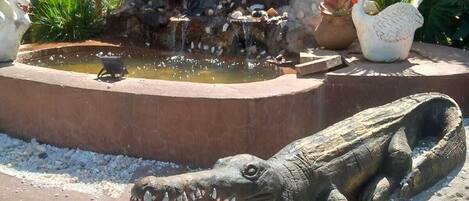 Terrein van de accommodatie