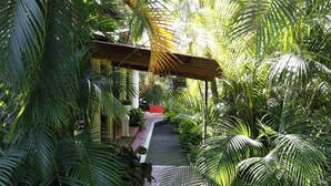 Un jardin intérieur luxuriant, avec un sentier menant à une structure rouge.